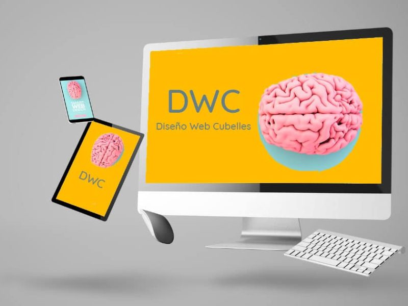 diseño-web-cubelles-cerebro-dwc